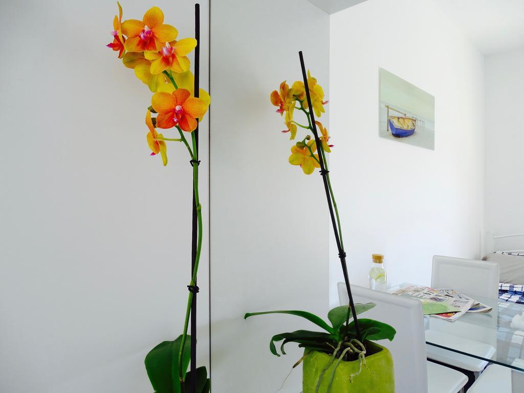 Apartament Harmony